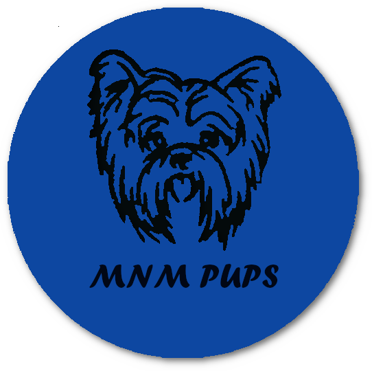 MnM Pups